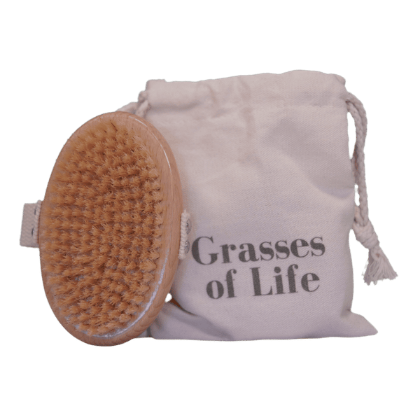 Grasses of Life Boar Bristle Dry Body Brush Grasses of Life Dry Body Brush 1 1 Grasses of Life Boar Bristle Dry Body Brush